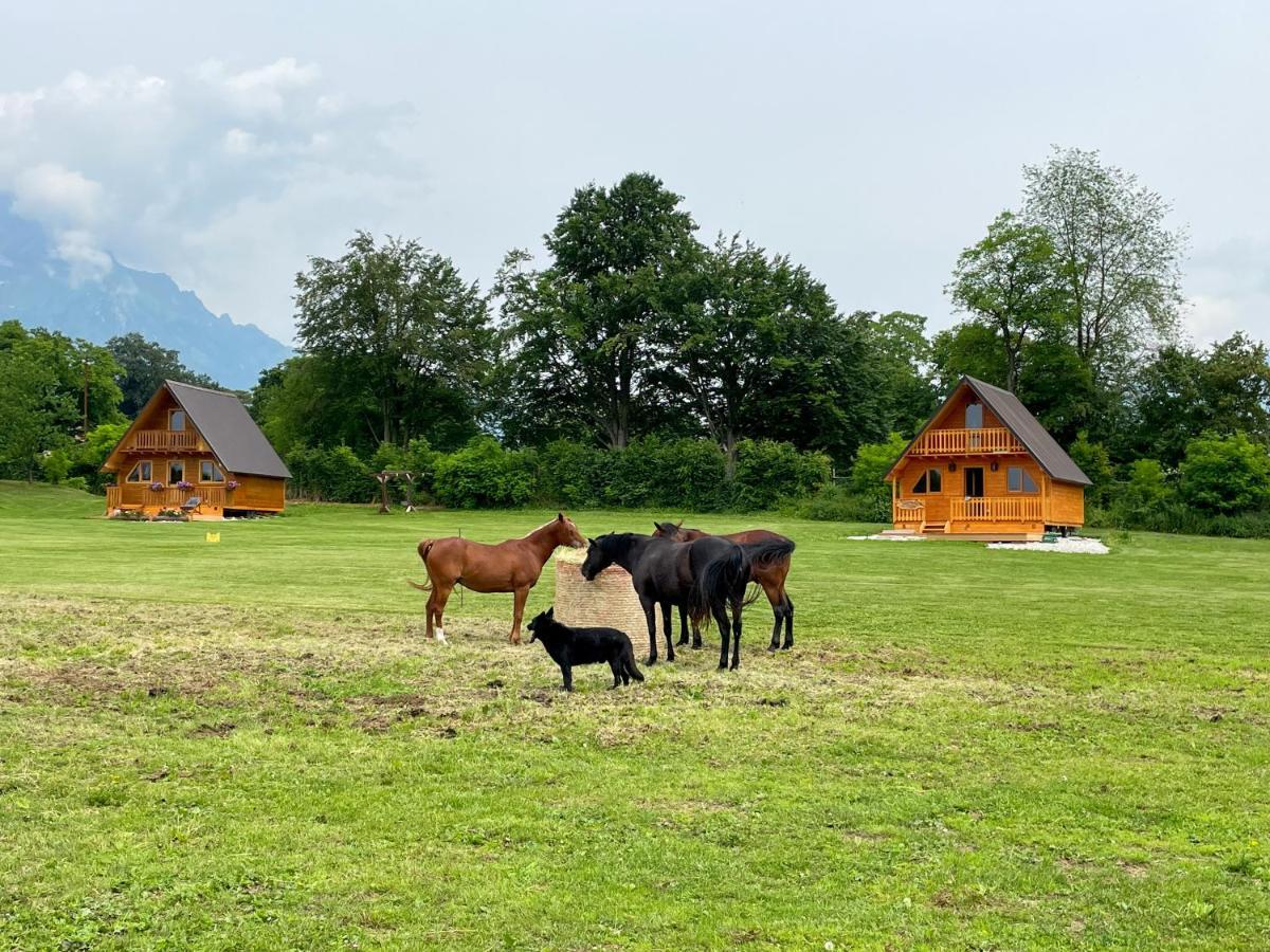 Apartmán Agri Camp Dolomiti Belluno Exteriér fotografie