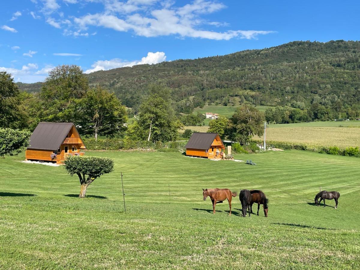 Apartmán Agri Camp Dolomiti Belluno Exteriér fotografie