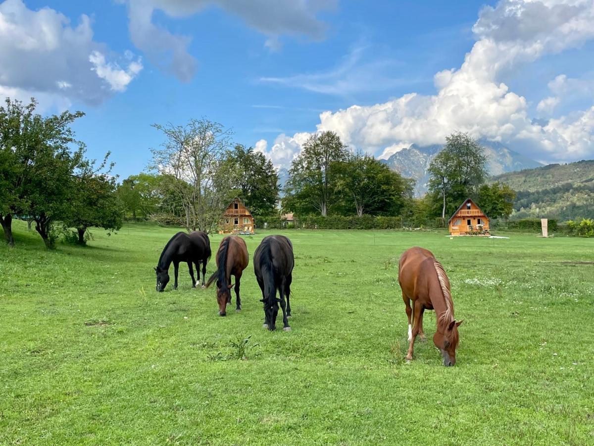 Apartmán Agri Camp Dolomiti Belluno Exteriér fotografie