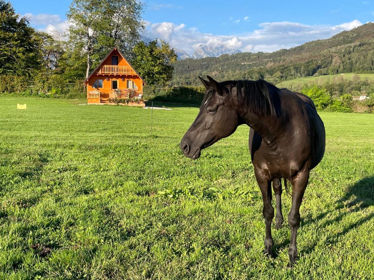 Apartmán Agri Camp Dolomiti Belluno Exteriér fotografie