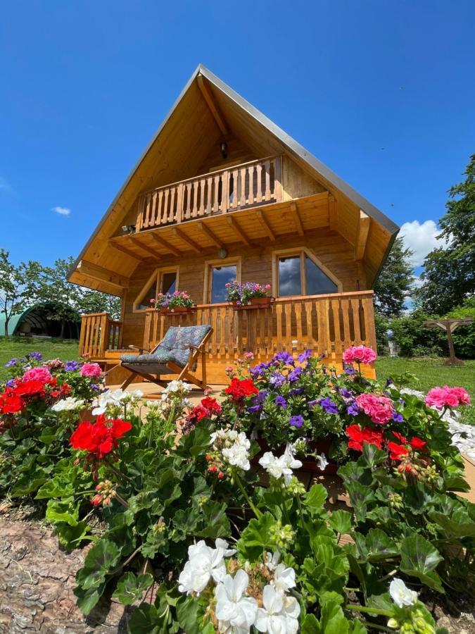 Apartmán Agri Camp Dolomiti Belluno Exteriér fotografie