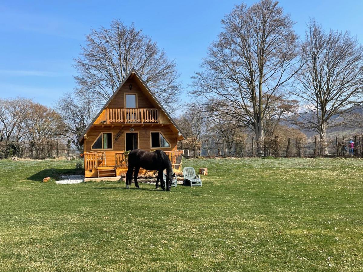 Apartmán Agri Camp Dolomiti Belluno Exteriér fotografie