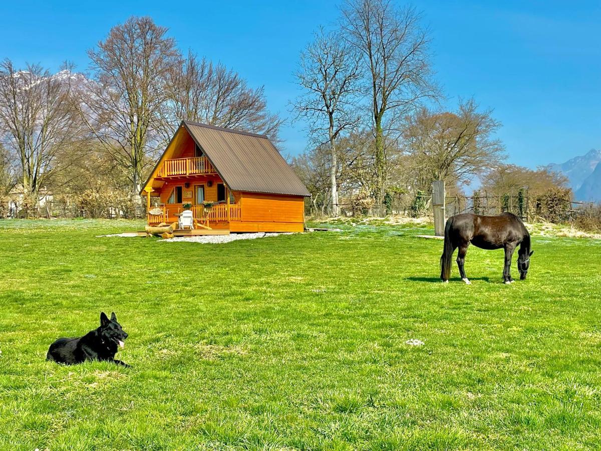 Apartmán Agri Camp Dolomiti Belluno Exteriér fotografie